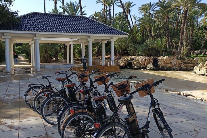 Alicante E-Bike City Tour: Coast, Old Town & Explanada in 2.5 Hours photo 4