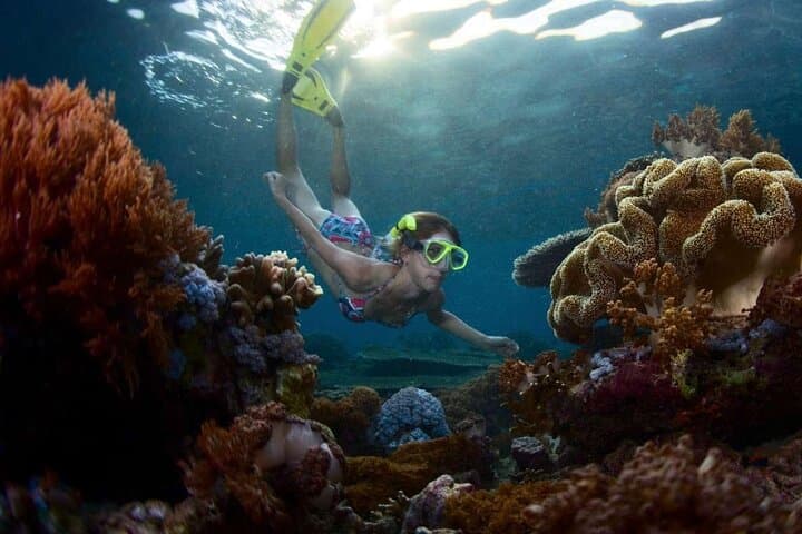 Blue Lagoon Snorkeling in Bali: Marine Gardens, Turtles & Waterfall Add-Ons
