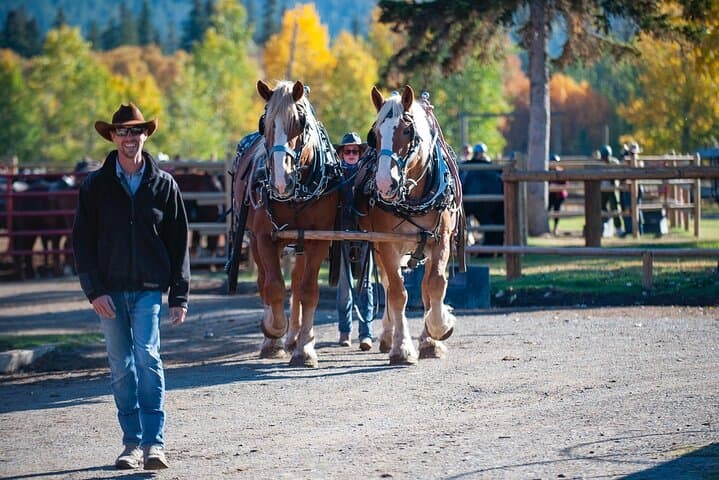 Covered Wagon Ride and Western Cookout in Banff National Park photo 6