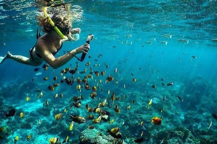 Blue Lagoon Snorkeling in Bali: Marine Gardens, Turtles & Waterfall Add-Ons photo 4