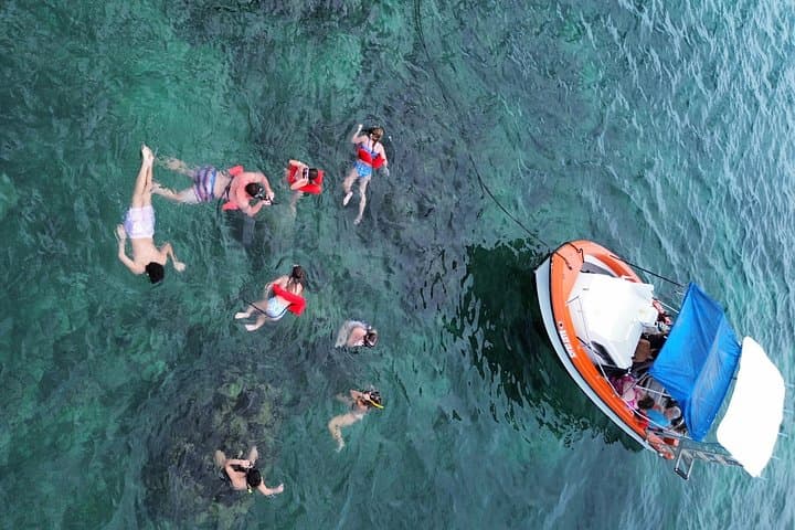 Snorkel the Mesoamerican Reef & Meet Sloths: Roatán Day Tour photo 2