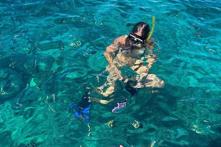 Snorkel the Mesoamerican Reef & Meet Sloths: Roatán Day Tour photo 1
