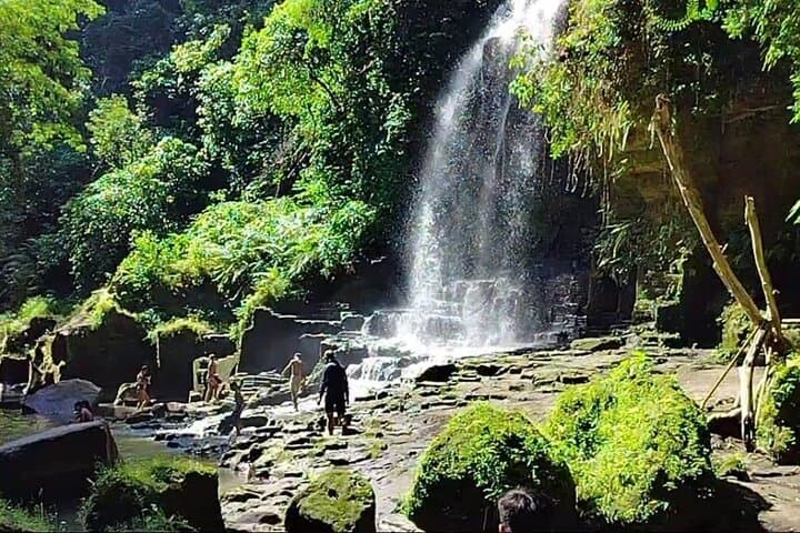 Blue Lagoon Snorkeling in Bali: Marine Gardens, Turtles & Waterfall Add-Ons photo 6