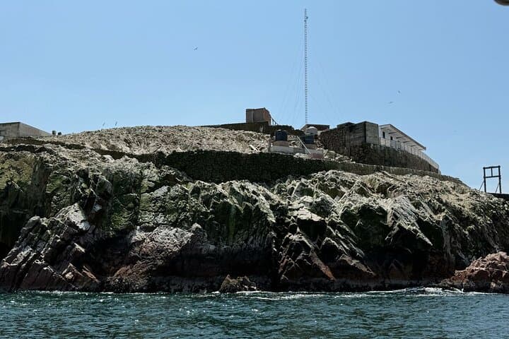 Ballestas Islands Speedboat from Puerto San Martin: Wildlife Cruise Near Paracas photo 6