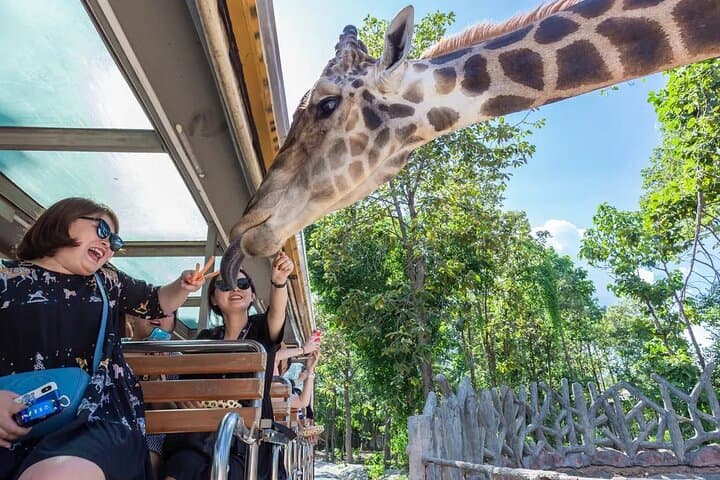 After-Dark Safari: Chiang Mai Night Safari Park Ticket