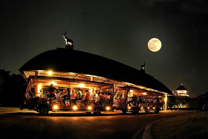 After-Dark Safari: Chiang Mai Night Safari Park Ticket photo 2