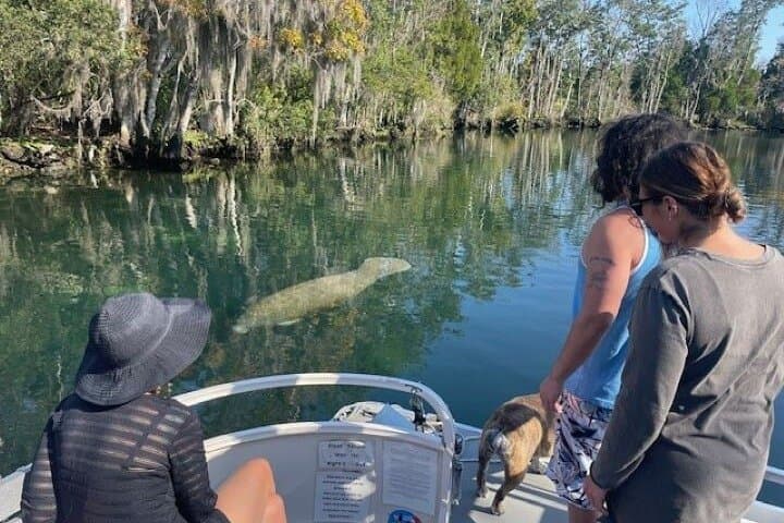 Exploring Crystal River’s Manatee Haven: A Private Eco Boat Tour