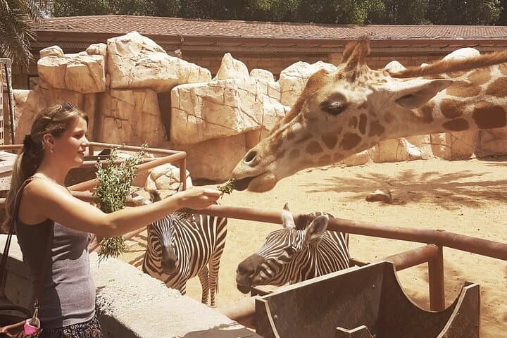 Emirates Park Zoo Abu Dhabi — Feed Giraffes & Elephants on a Family Wildlife Adventure photo 4
