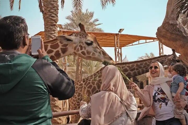 Emirates Park Zoo Abu Dhabi — Feed Giraffes & Elephants on a Family Wildlife Adventure photo 6