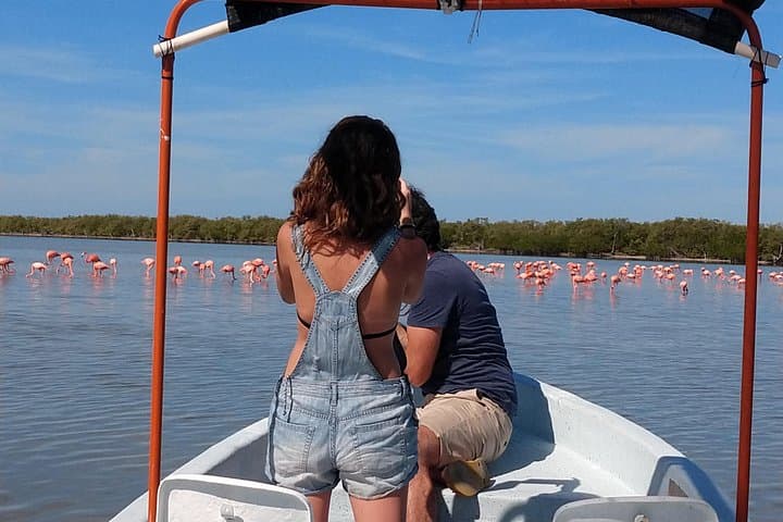 Rio Lagartos Flamingo Boat Tour: 2-Hour Mangrove Cruise & Mayan Mud Bath
