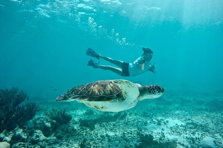 Tulum Ruins & Akumal Turtle Snorkel: Cenote Swim Day Trip from Riviera Maya photo 1
