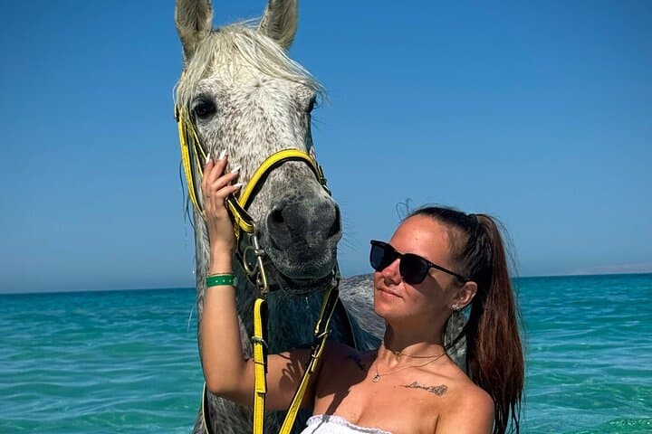 Hurghada Horseback Riding: Desert Trails to Beachside Swims photo 2