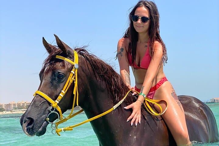 Hurghada Horseback Riding: Desert Trails to Beachside Swims photo 5