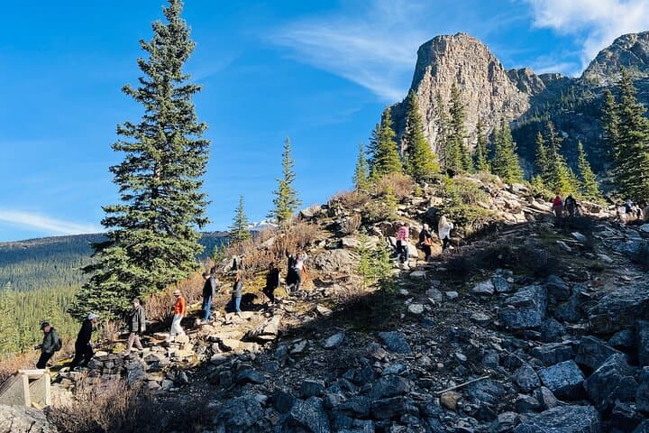 Half-Day Lake Louise & Moraine Lake Small-Group Tour from Banff photo 6