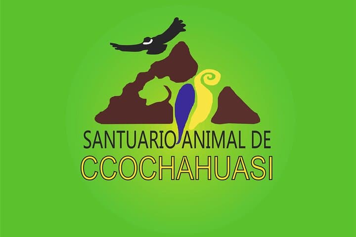 Volunteer at Cochahuasi Sanctuary Near Cusco — Half-Day Rescue & Feeding Experience photo 2