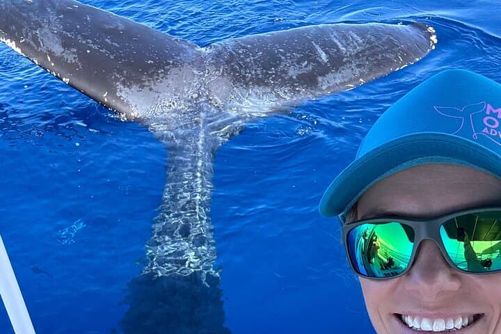 Lahaina 2-Hour Afternoon Whale Watch — Small-Group Boat Tour with Hydrophone
