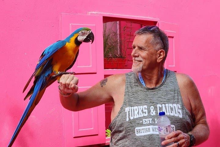 Puerto Plata Challenge: City Sights and Damajagua 7 Waterfalls Adventure photo 4