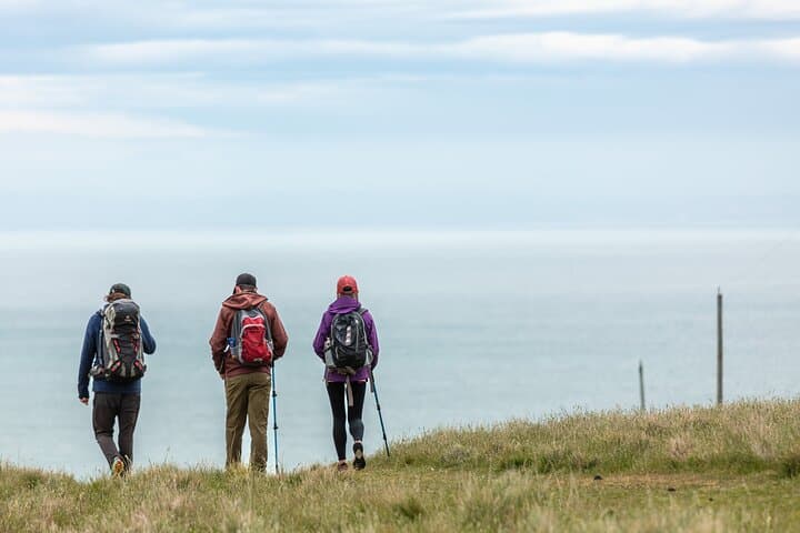 Discover Godley Head: A Scenic Drive & Walking Adventure photo 6
