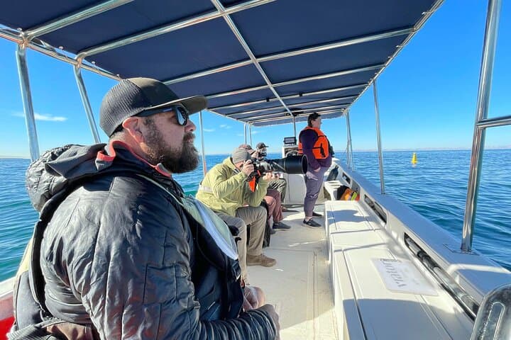 Marine Ecology Tour in La Paz — Sea of Cortez Wildlife Cruise