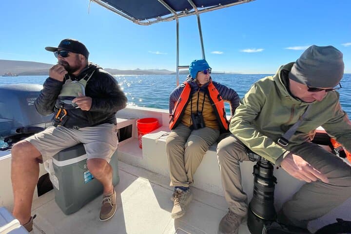 Marine Ecology Tour in La Paz — Sea of Cortez Wildlife Cruise photo 6