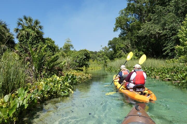 Rock Springs Run Eco Kayak: Guided Small-Group Paddle Near Orlando photo 3