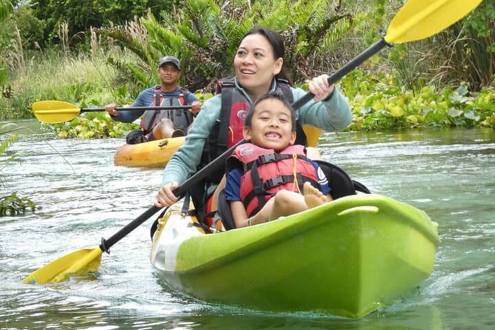 Rock Springs Run Eco Kayak: Guided Small-Group Paddle Near Orlando