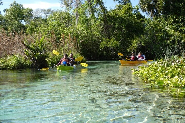 Rock Springs Run Eco Kayak: Guided Small-Group Paddle Near Orlando photo 4