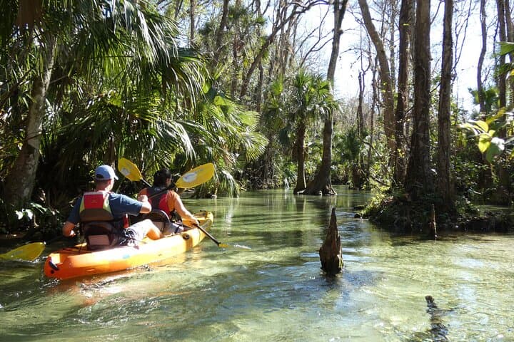 Rock Springs Run Eco Kayak: Guided Small-Group Paddle Near Orlando photo 5
