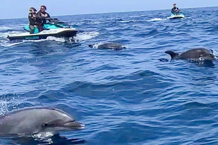 Long Beach to Catalina Jet Ski Adventure — Guided Seadoo Ride to Avalon photo 2