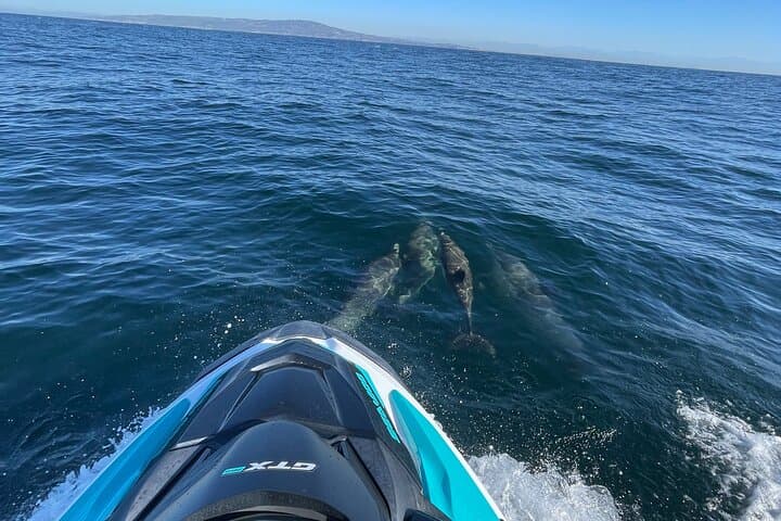 Long Beach to Catalina Jet Ski Adventure — Guided Seadoo Ride to Avalon photo 5