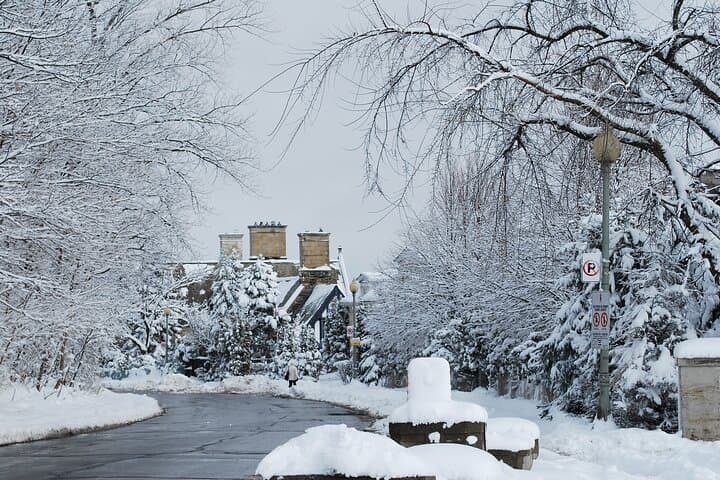 Afternoon City Tour in Montreal: Old Montreal, St. Joseph's Oratory & Mount Royal photo 6