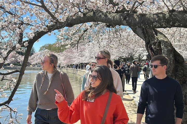 Skip the Line at the Washington Monument: National Mall Guided Walking Tour photo 2