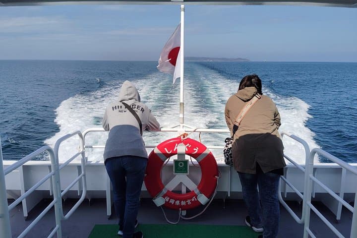 Ainoshima Island Cat Kingdom Tour: Shore Tombs, Shrine Culture & Coastal Views photo 4