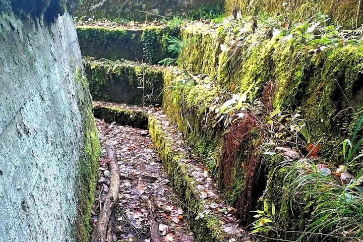 Walking the WWI Land Fortifications of Helsinki’s Central Park photo 2