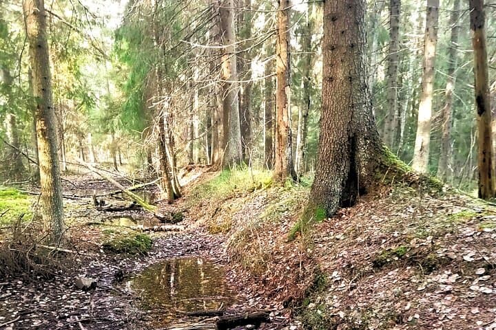 Walking the WWI Land Fortifications of Helsinki’s Central Park photo 3