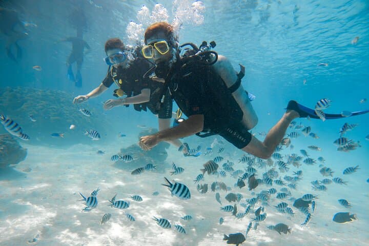 Introductory Scuba Dive in Bora Bora Lagoon: Coral Gardens & Tropical Fish