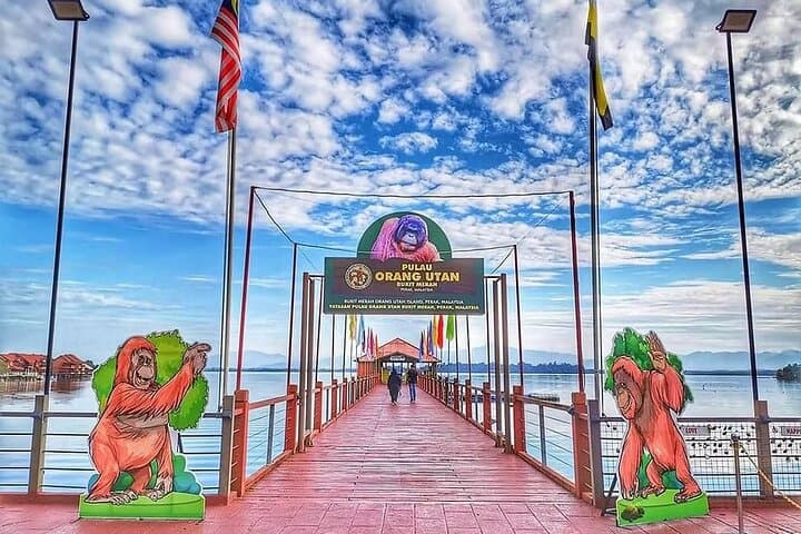 Orangutan Island Ethical Sanctuary Visit at Bukit Merah Lake photo 4