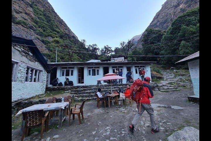 Langtang Valley Trek: 7-Day Kyanjin Gompa Trek Through Rhododendron Forests photo 6