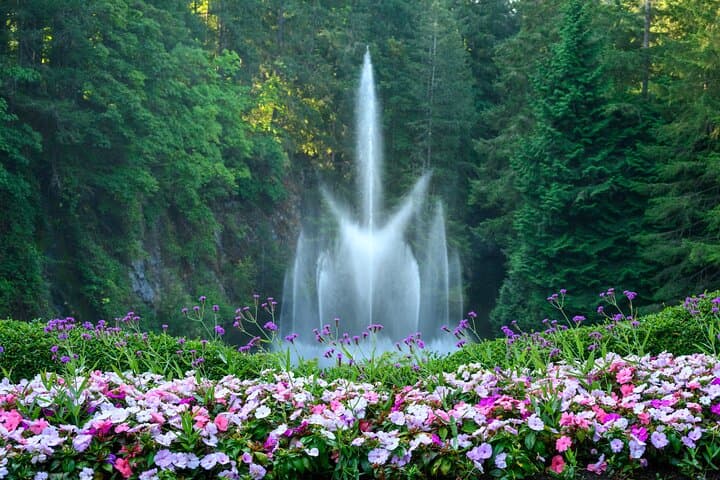 Vancouver to Victoria: Elevated Butchart Gardens & Inner Harbour Day Tour photo 6