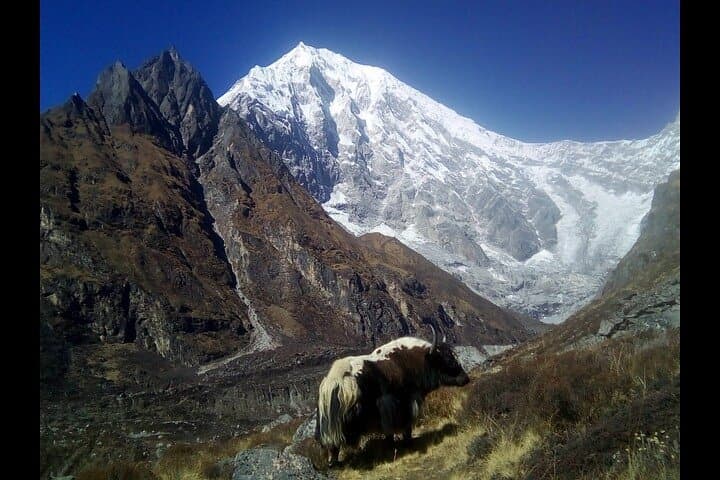 Langtang Valley Trek: 7-Day Kyanjin Gompa Trek Through Rhododendron Forests photo 2