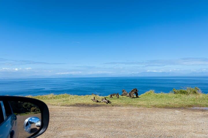 Full-Day Cape Point & Cape of Good Hope Tour with Boulders Beach Penguins photo 5