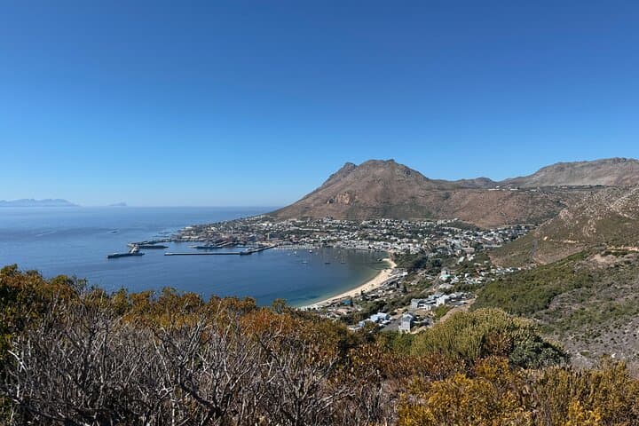 Full-Day Aquila Safari from Cape Town: Game Drives & Wildlife Viewing photo 2