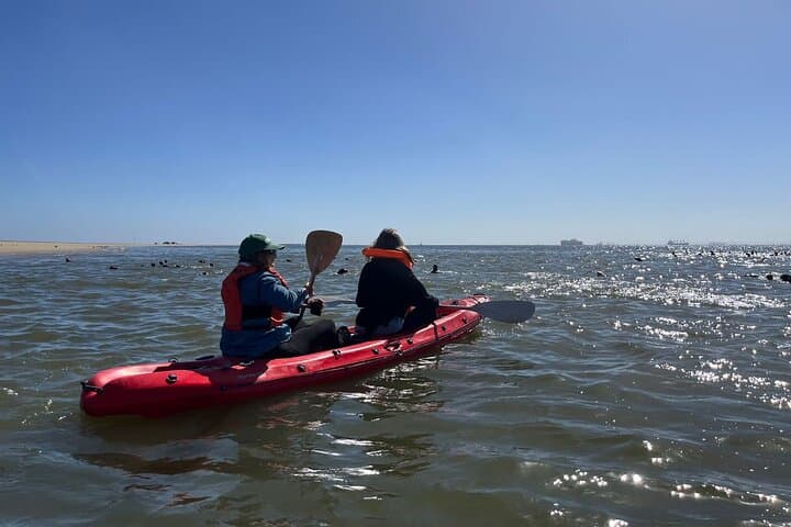 Seal Kayaking and Sandwich Harbour: Walvis Bay Kayak & Dune Drive