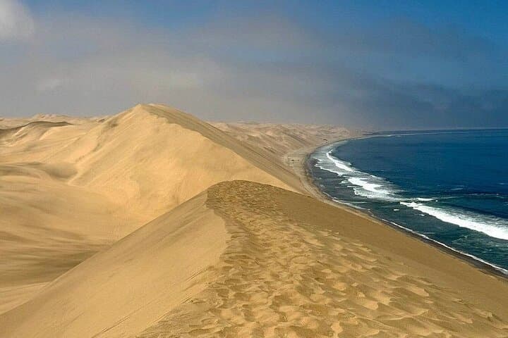 Seal Kayaking and Sandwich Harbour: Walvis Bay Kayak & Dune Drive photo 6