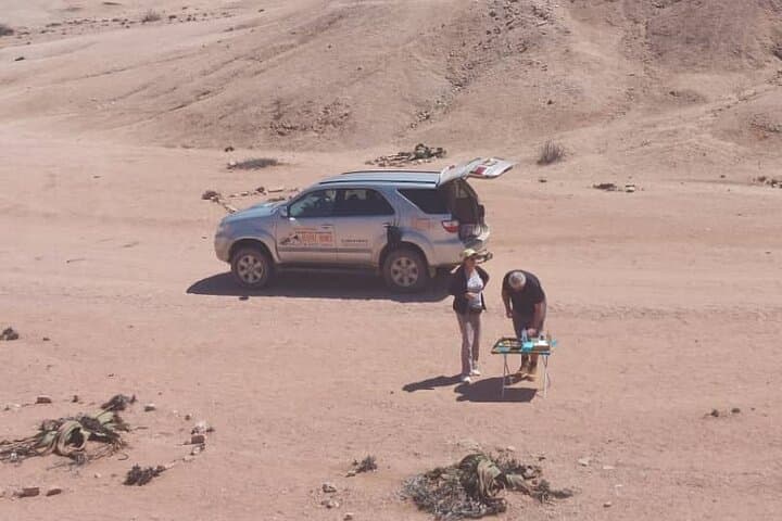 Welwitschia & Sandwich Harbour Day Tour — Walvis Bay Desert, Lagoon and Dune Drive photo 4