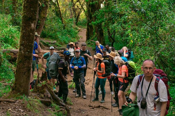 Summit Kilimanjaro via the 6-Day Machame Route: Budget Group Trek to Uhuru Peak photo 2