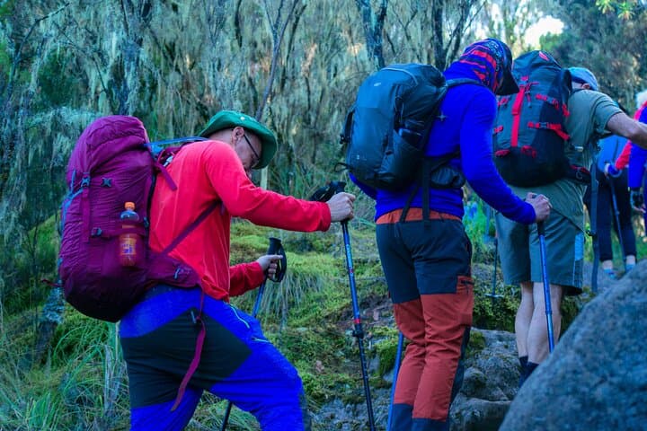 Summit Kilimanjaro via the 6-Day Machame Route: Budget Group Trek to Uhuru Peak photo 6