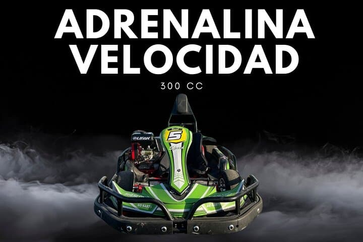 High-Speed Karting in Punta Cana — Race a Professional Circuit photo 2