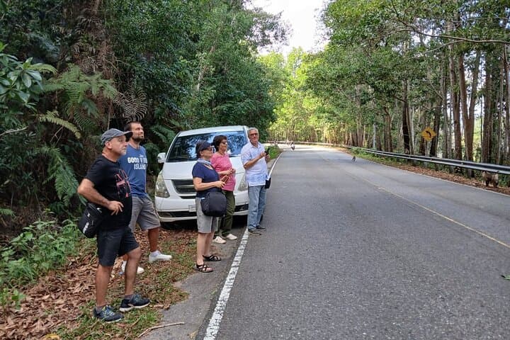 Bokor Mountain Tour: Explore Bokor Hill Station, Popokvil Falls & Colonial Ruins