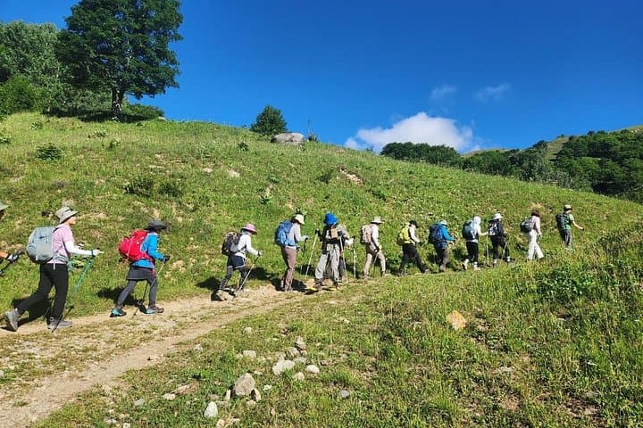 Guided Trekking in Vanoise National Park — Day Hike to Alpine Meadows & Glacial Views photo 2